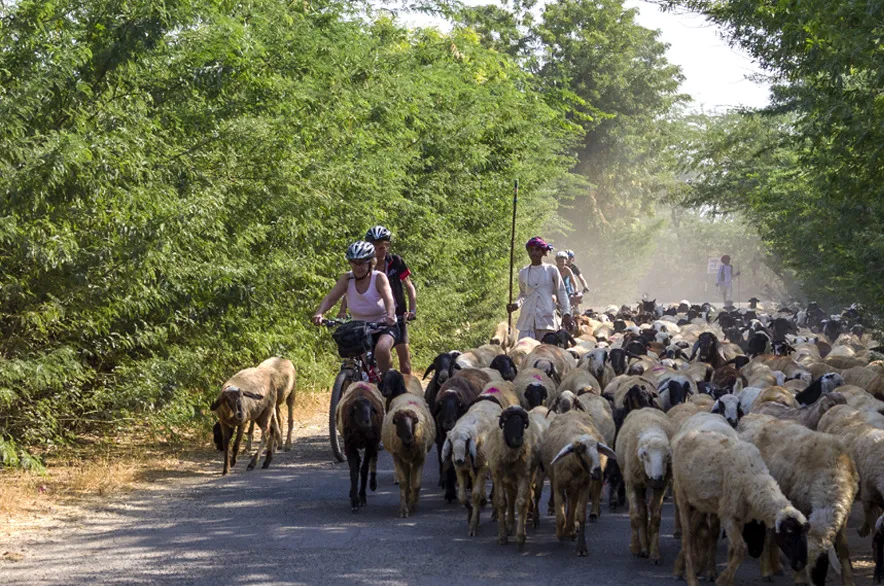 man riding bike in Rajasthan